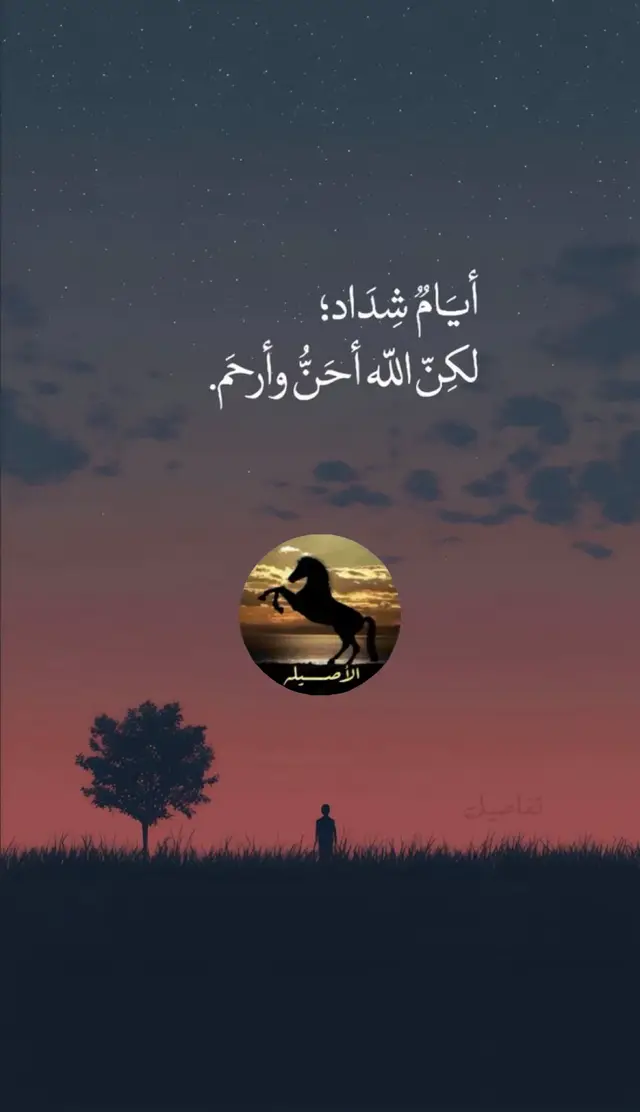 عليه_افضل_الصلاه_والسلام♥️ معا_الى_الجنه_🎶♥️ ‏mea_ala_aljnh_🎶♥️