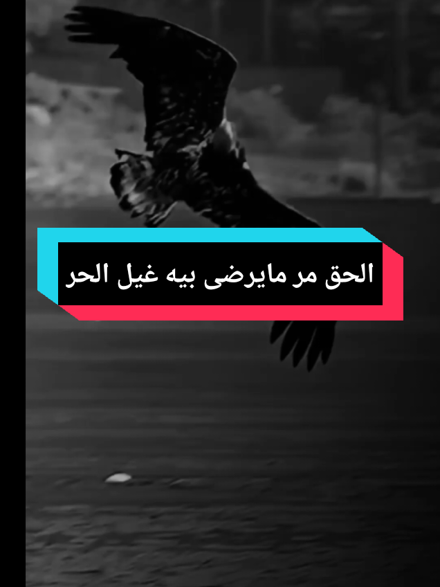 الحق مر مايرضى بيه غيل الحر#wahid_dz_29 #شرات_و_معاني_تخليك_تعاني #قوالب_كاب_كات #explor ##fyp 