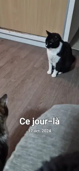 #cejour-là 