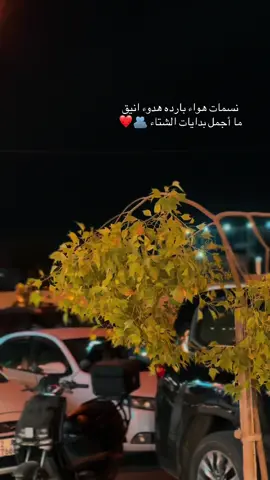 الشتاء ❤️🫂#تصويري📷 #اكسبلور؟ #لايك__explore___ #الموصل_العراق 