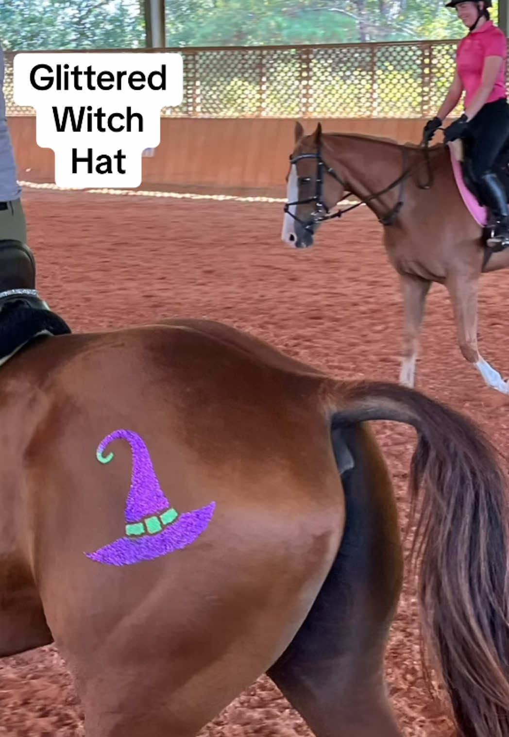 #onthisday 🧙‍♀️ It’s giving witchy sparkle magic! Come see how to cast a glitter spell on your ride with our spooky witch Glittermarx ✨💜 #Glittermarx #HocusPocusVibes #horsegirl @Sophie & Penny #horse 
