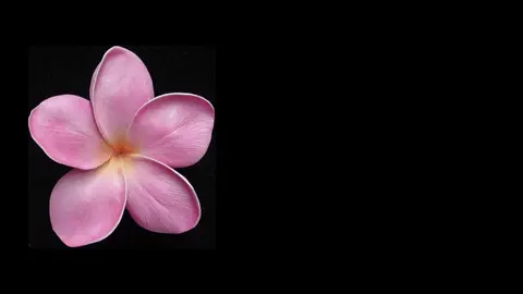 بگو که سیو کردی✨😭 https://t.me/dear_solly .  .  .  .  .  .  .  .  .  .  .  .  .  .  .  .  .  .  .  .  .  .  .  .  .  .  .  .  .  .  .  .  .  .  .  .  .  .  .  .  .  .  .  .  .  .  .  .  .  .  .  .  .  .  .  .  .  .  .  .  .  .  .  .  .  .  .  .  .  #گمشو_برو_فوریو_روانی_بچ #فوریو_نظری_به_حال_ما_کن #برو_فوریو #for_you #برو_فویو_خداییش 