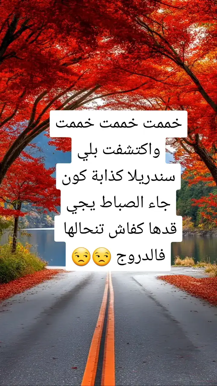 #الجزئر🇩🇿_المغرب🇲🇦_تونس🇹🇳 