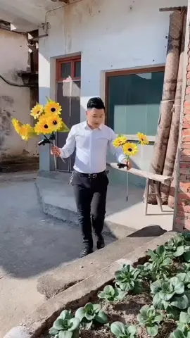 ✨Transforme seu jardim com um toque de luz e magia 🌻 #luzesolar #decoracao #jardim #sustentavel #energiasolar 