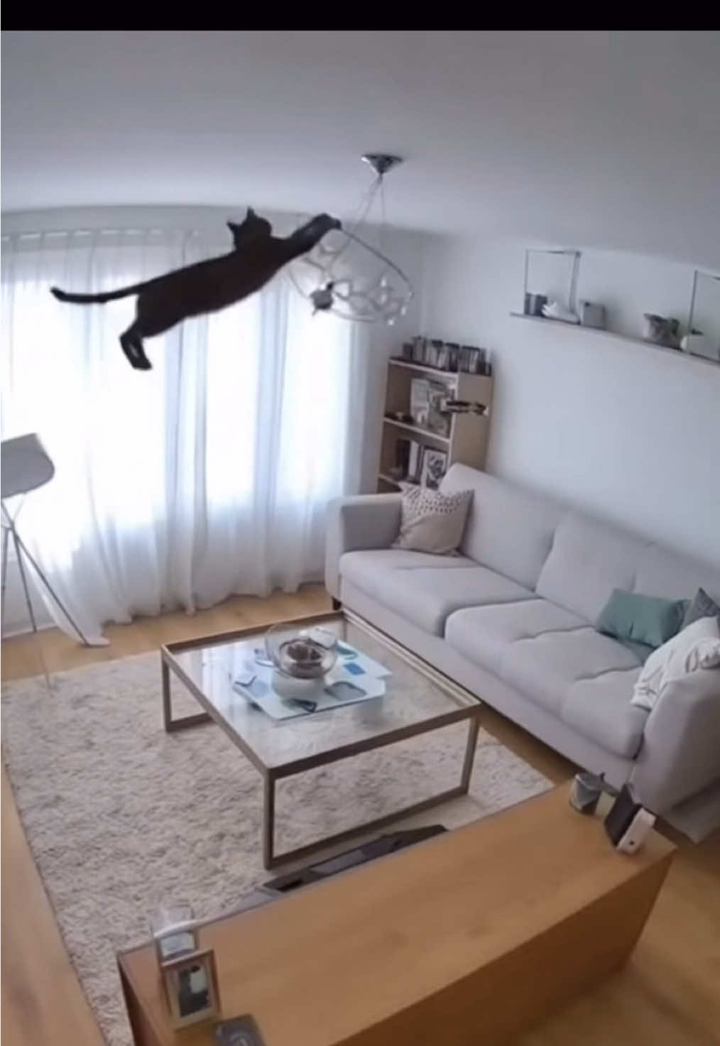 Camera caught a cat going wild and wrecking the living room 🫣🤣 #cat #satisfying #wildlife #fyp #ai 
