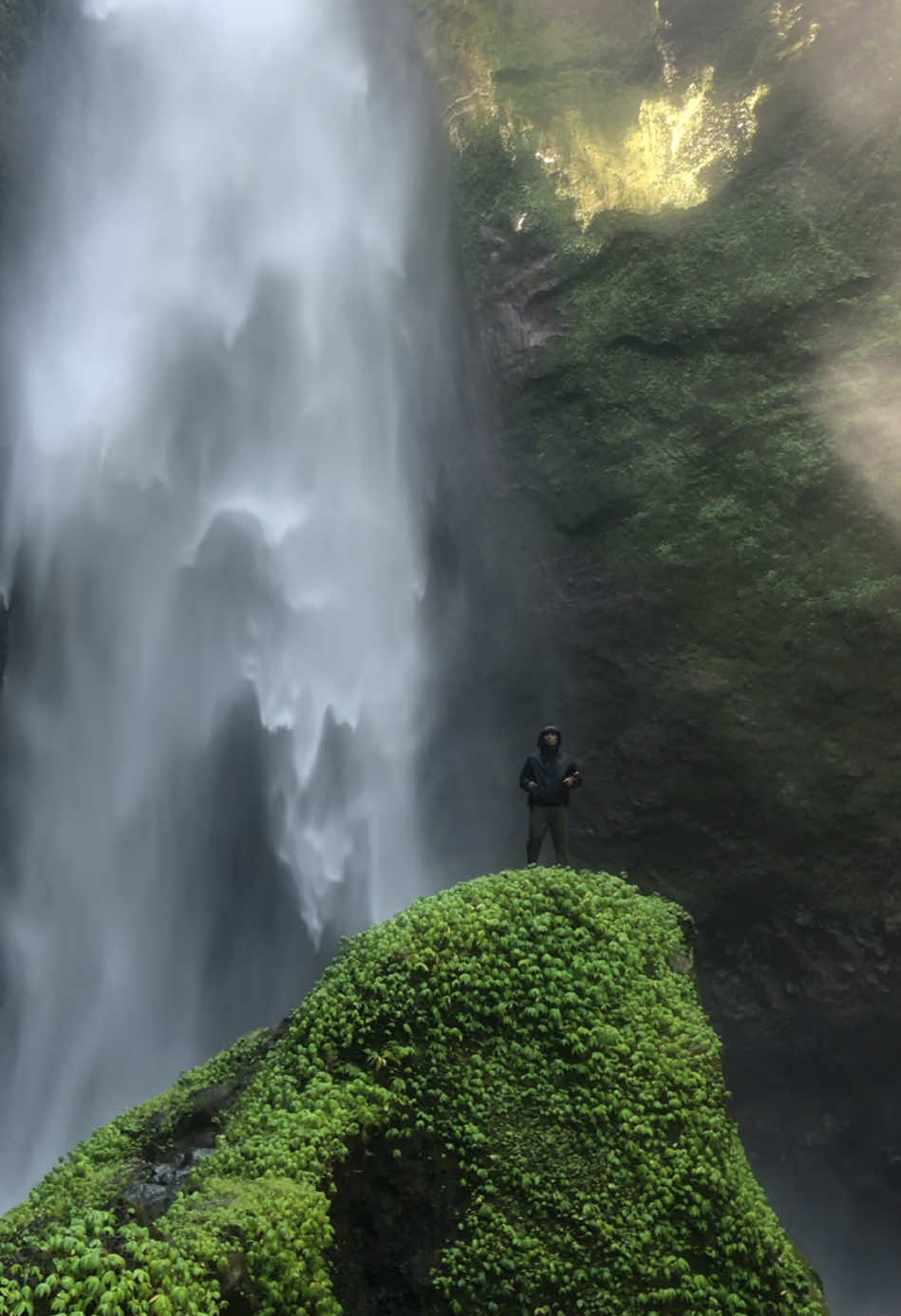 Gimana nggak semangat bikin konten kalau tempatnya seindah ini guysss🍃✨👌 yuk giliran kalian guysss ke sini sebelum tempatnya ramai lo hehehe  #waterfall #airterjun #kabutpelangi #lumajang #fyppppppppppppppppppppppp 