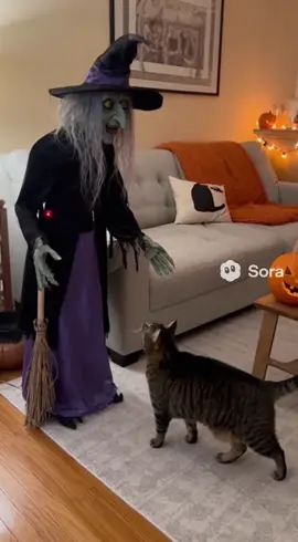 【009】猫 × ハロウィンドッキリ🎃｜ #cat #halloween #funnyanimals  #AIvideo  #ringcamera