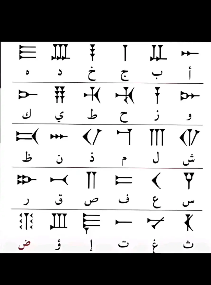 #بغداد #المنصور #العلاوي #مول_بغداد #صعدوني_اكسبلورر 