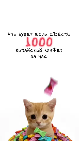Что будет, если съесть 1000 китайских конфет за час? Кисы объясняют😽 #мукбанг 