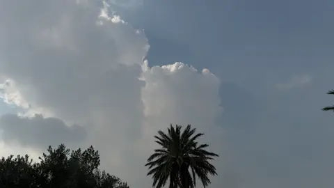 #foryou #زيد_السومري #fyp #🇮🇶 زيد الأفضل 🤍