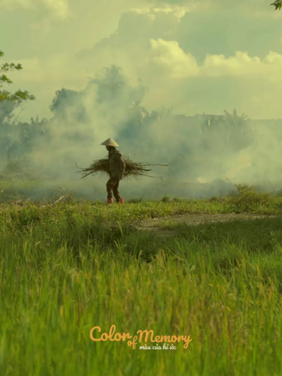 Có lẽ, giấc mơ đẹp nhất trong đời người… là được gặp lại người thân đã khuất. Đôi khi, giữa một buổi chiều lặng lẽ, tui chợt tỉnh giấc - ánh nắng nghiêng qua khung cửa sổ, rọi lên bức tường những vệt sáng vàng úa như màu của ký ức. Ngồi ngẩn ngơ một lúc, mới chợt nhận ra… trong giấc mơ vừa rồi, có người đã đi xa từ lâu. Vẫn là ánh mắt ấy, vẫn nụ cười ấy, vẫn cái dáng quen thuộc đến nao lòng. Giấc mơ tan rồi, nhưng cảm giác ấy cứ ở lại, dịu dàng mà day dứt. Và tui biết, đó là món quà nhiệm màu mà cuộc đời ban tặng - để ta được gặp lại người thương, dù chỉ trong một cõi mơ không với tới. #colorofmemory #binhyen #Kyuc #peace #quehuong 
