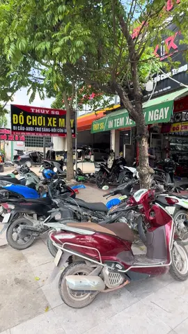 Nay nghẹt thở luôn ae #audi #bicau #shopAbThainguyenThuySg #ab #xuhuong 