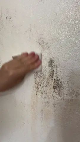 Dùng miếng mút này lau là sạch#miengbotbien  @Hằng review mét 62  @Hằng review mét 62 