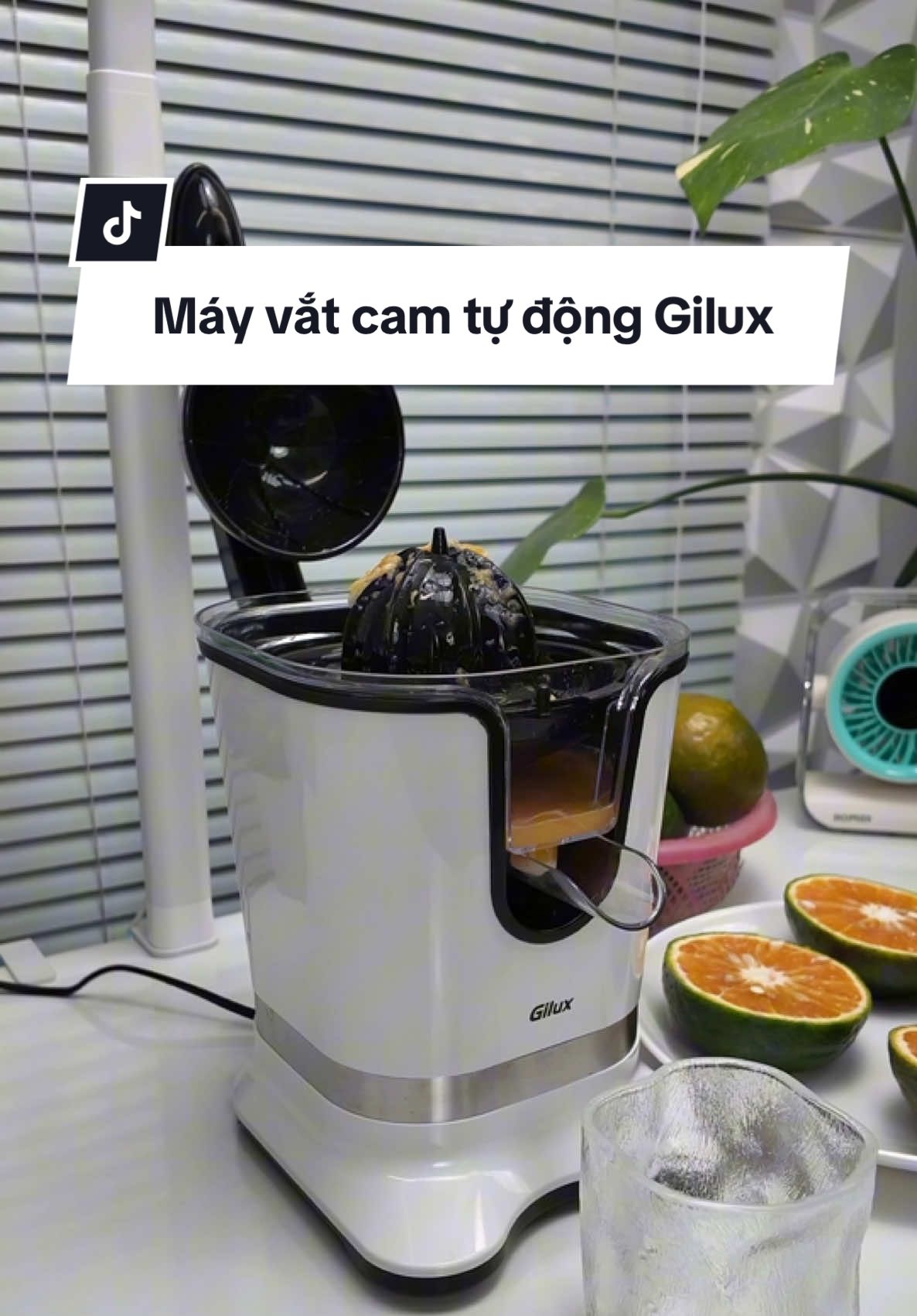 Máy Vắt Cam Chính Hãng Gilux GLE79 hàng đẹp chất lượng #mayvatcamtudong #mayvatcamgilux #mayvatcam #datnhacua 