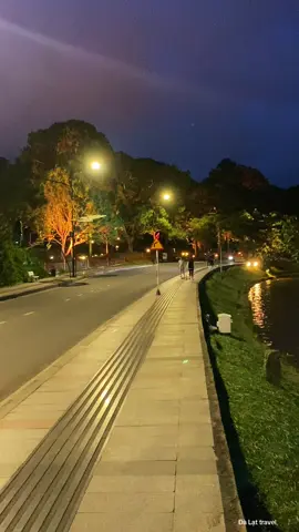 Lung linh phố đêm Đà Lạt ❤️#dalat #thinhhanh #xuhuong 