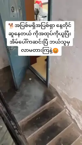 #ရောက်ချင်တဲ့နေရာရောက်👌 #အားလုံးကိုပျော်စေချင်လို့😊 #🤣🤣🤣 