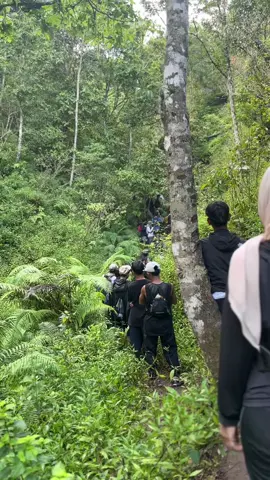 Naik pelan-pelan, nikmati perjalanan. #baodaya #sevensummitsembalun #pendaki #bukit #pendakigunung #gunungindonesia #rinjani #fyp #foryou 