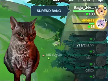 POV: When Ketika Hujan Lord 💀 @Mobile Legends Indonesia #MCGGIDCreators #MagicChessGoGo #MCGG #MCGGS4 #MRsLylia 