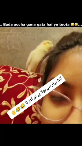 plz 🥺 repost Account Freeze ha  #viral #fyp #fypシ #Hassan333 #trending 