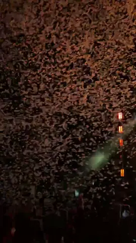 San lucas para el final 🙂‍↕️ #kevinkaarl #peru #costa21