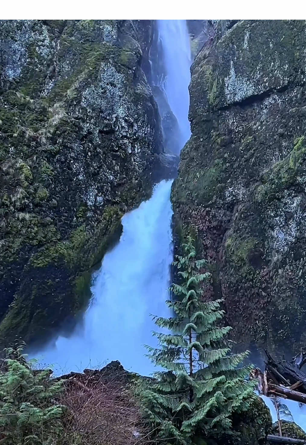 Wahclella Falls, Columbia River Gorge, Cascade Locks, Oregon #Hiking #pacificnorthwest #waterfalls  #CapCut  