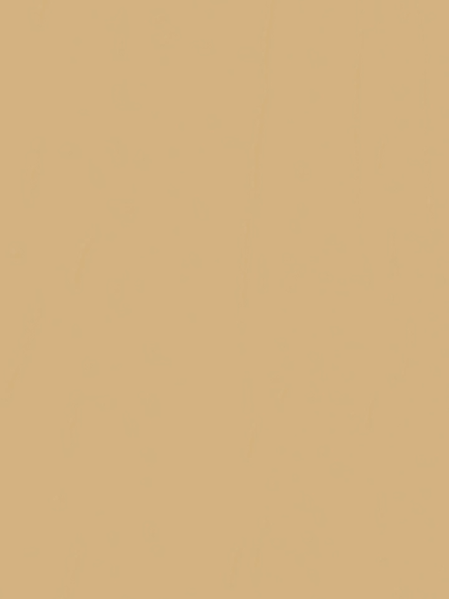 Shape of you - Ed Sheeran | Lyrics #shapeofyou #edsheeran #lyrics 