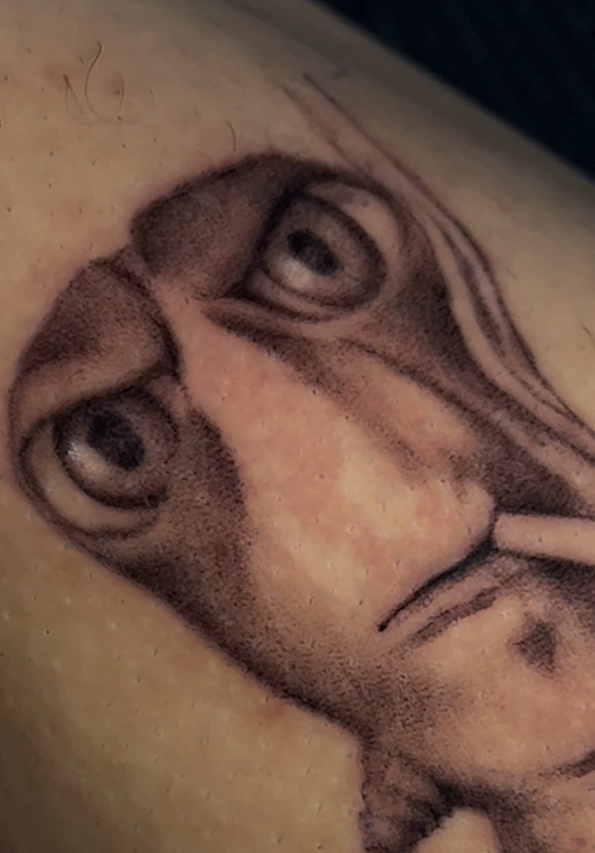 Ахахпхпхпхжпдпддпдпдпд #meme #tattoomems #tattoominsk #belarus🇧🇾 #колем 