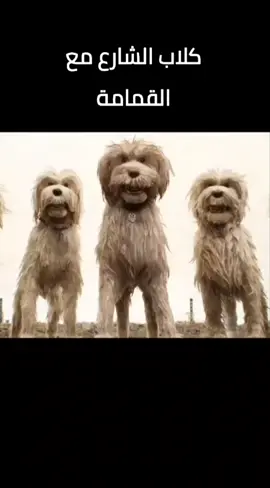 الكلاب ولقمامة 😂#اكسبلور #fyp #دبلجة #بصوتي 