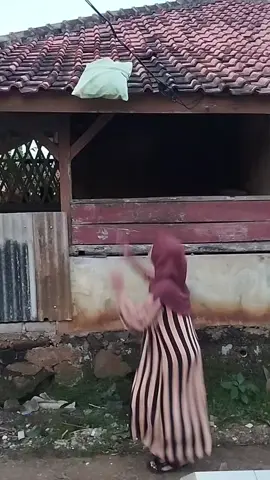 teing main nu di rasa #komedisunda🤣 