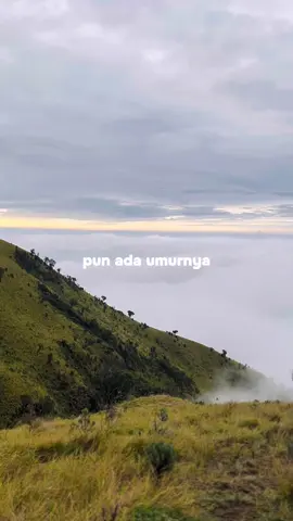 Dunya pasti ada akhirnya 😮‍💨         #merbabu #merbabuview #fyp #foryou #sunrise 