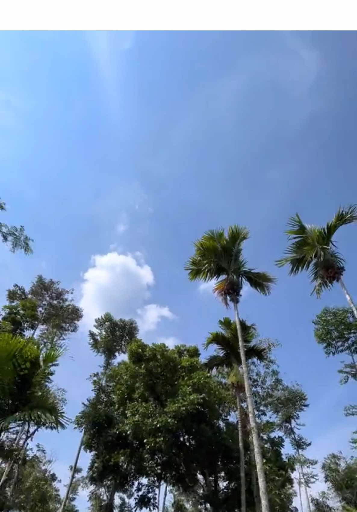 Mentahanan nih #fyp #1080p60fps #hd60fps #berandafyp #mentahanvideo 