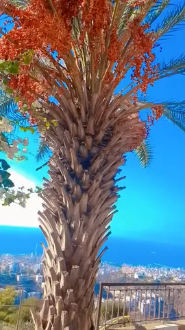 #🖤 #انا_ياطير_ضيعلي_نصيبي #مجرد________ذووووووق🎶🎵💞 #تصويري_احترافي_الاجواء👌🏻🕊😴 #حركة_إكسبلور 