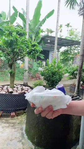 Bỉm quần cho bé #bim #bimquanchobe #bimquan #bimnanuchinhhang #bimquan100mieng 