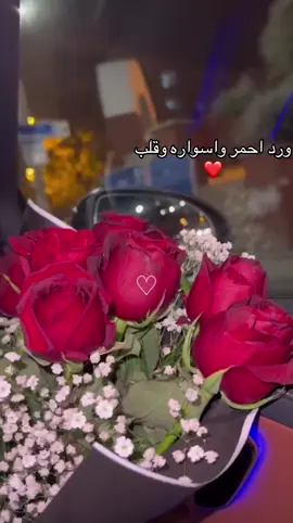 #تصويري #لايك_متابعه_اكسبلور #تصميم_فيديوهات🎶🎤🎬 #مشاهدات 