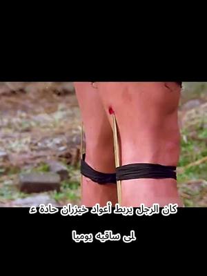 الملك الملاكم المختفي