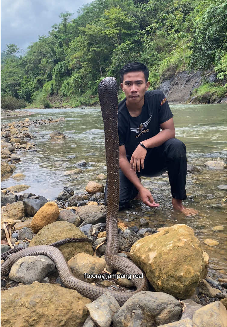 Alam setenang inih milih di rumah? #debus #debusjampang #ular #fypシ゚ #fypviralシ 