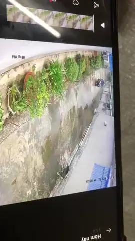 những loại sv lười lao động thích hưởng thụ....😡