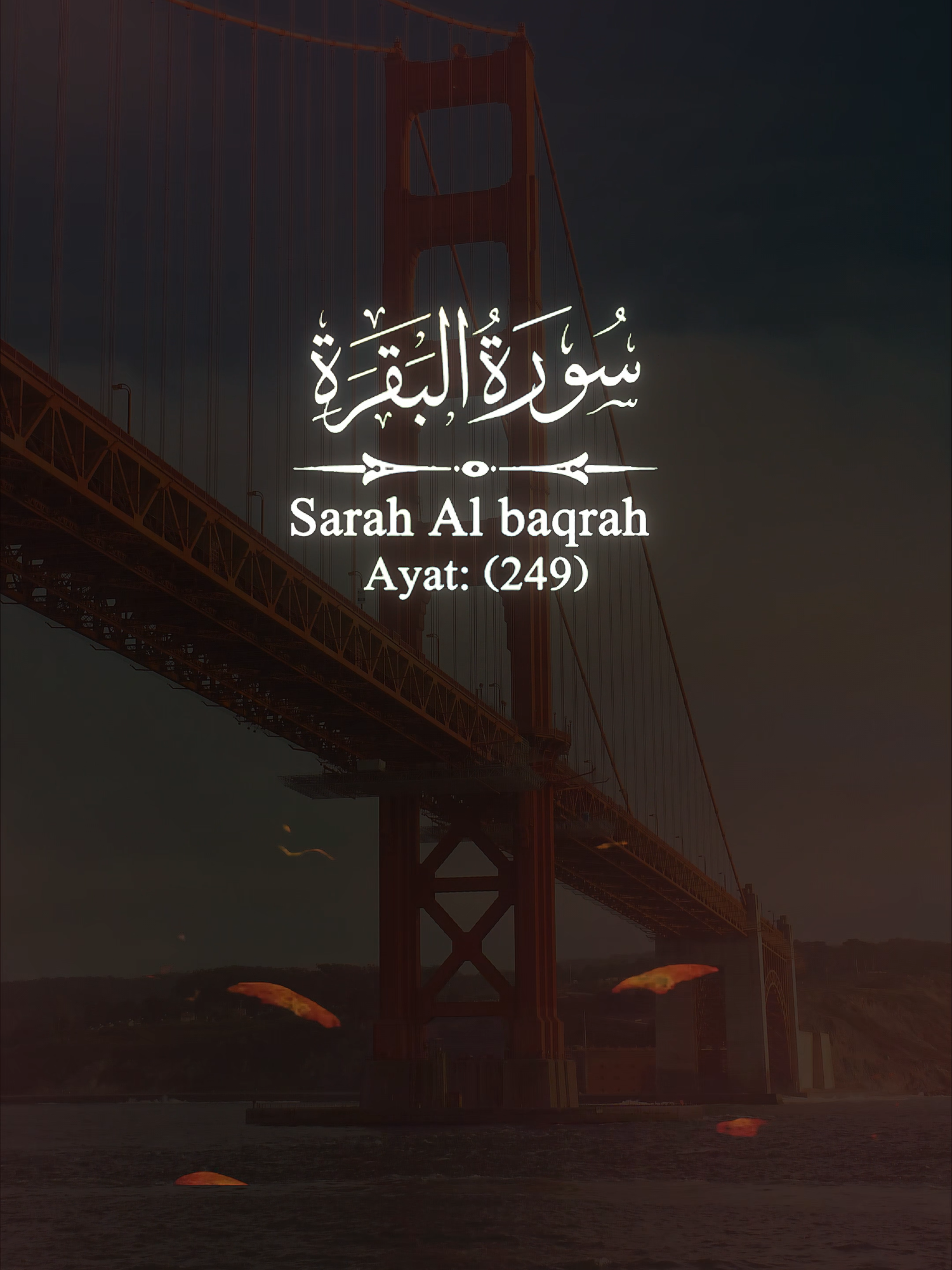 سورۃ البقرہ (آیات 248 – 252) اللہ اُن کے ساتھ ہوتا ہے جو صبر اور ایمان کے ساتھ کھڑے رہتے ہیں 💪 جب انسان اللہ پر یقین رکھتا ہے تو کمزور سے کمزور بھی طاقتور بن جاتا ہے۔ حضرت داؤدؑ نے جالوت کو شکست دی — یہ ایمان کی جیت تھی، طاقت کی نہیں۔ 🌿 #SurahAlBaqara #QuranVerses #DawoodAS #Jalut #Talut #Iman #Sabr #QuranStory #IslamicReminder #AllahKiMadad #QuranicWisdom #IslamicMotivation #FaithOverFear #IslamicShorts #QuranQuotes
