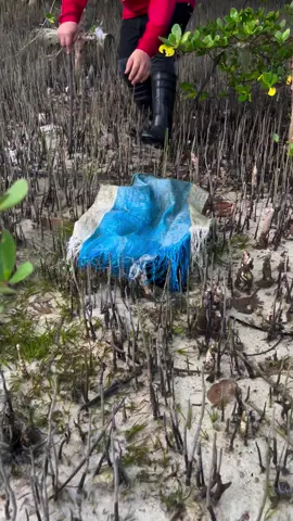 ปูออกไข่🤣🤣