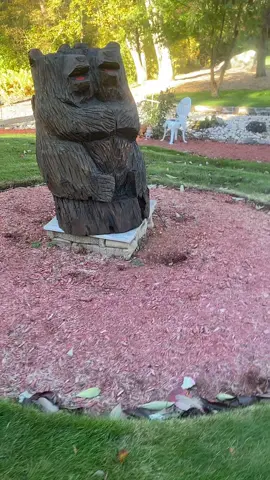 #LIVEIncentiveProgram #GenuineInteractionMatters #PaidPartnership 