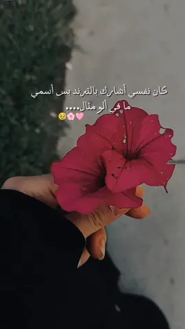 #CapCut 🥹🥹🩷🩷#فراشة #fyp 