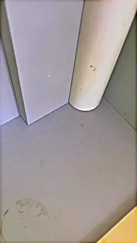 how to measure the position of a wooden corner #woodworking #tips #tiktoklifestyle #ideas #woodwork #decor #doors #makersgonnamake #interior #woodart #construction #woodworking #carpenter #table #furnituredesign #woodcarving #viralreelschallenge #FineWoodworking #woodworkingcommunity #interior #wooddesign #carpenter #maker  #DIY #reelsfb #furniture #wood 