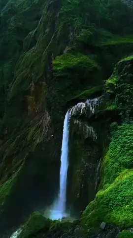 assalamualaikum 🙏#sholawatnabi #sholawatan_yuk #sholawatan_hati_tenang #sholawatan_bikin_adem 