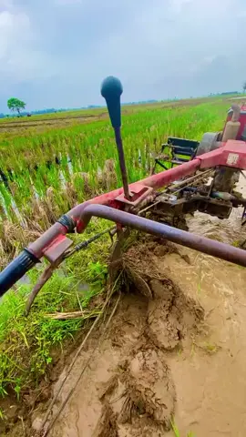 OPO Iyo Guss...😁#fyp #fypシ゚viral🖤tiktok #kubota #lampungpride #lampungviral 