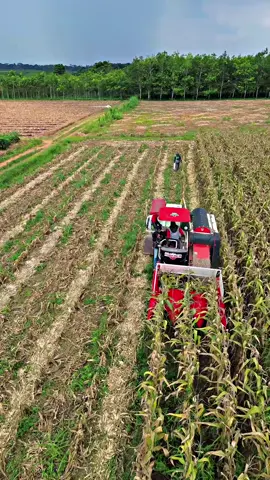 @NISKALA 102 🚜 