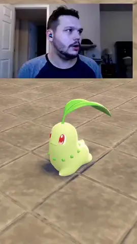 We Chose Chickorita! | #immortality67 on #Twitch #twitchclips #twitchstreamer #foryou $pokemon #LegendsZA #chickorita #Starter