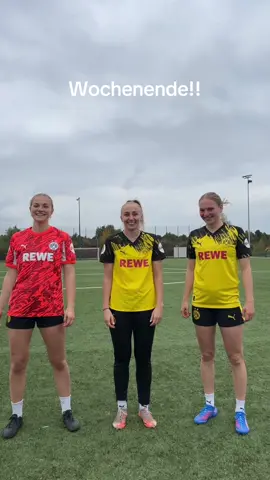 POV: Man wird gezwungen TikTok-Tänze zu machen 😂👀 #bvbfrauen #bvb #woso #matchday #Meme 