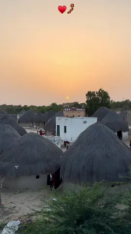 Thar ♥️ #2025 #life #foryour #world #foryou #pakistan #music #weather #fo #NoMoreCanalsOnIndus #water #sindh #savekaroonjhar #tharparkar 
