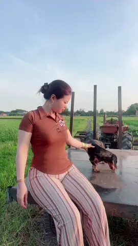 #🥰🥰🥰🥰❤️❤️❤️ #trivilongan #ngocphamxemay #xuhuongtiktok 
