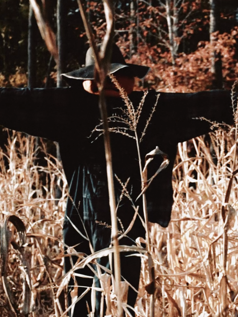 that time of year #halloween #strangerthings #fall #fyp #edit 